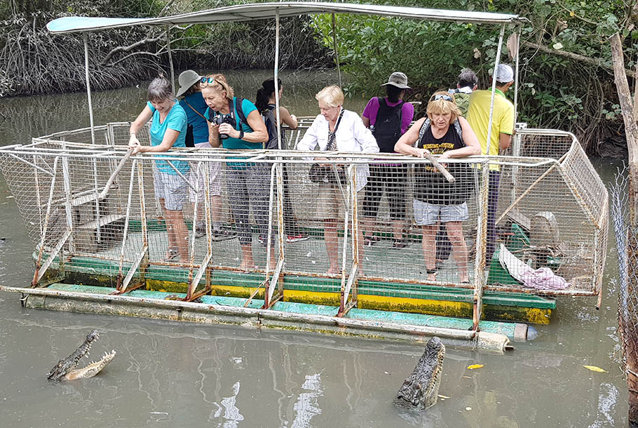 Our guests are standing on the boat while fishing for carnivorous crocodiles at Can Gio Mangrove