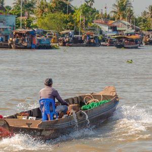 Mekong Delta, you must to see.